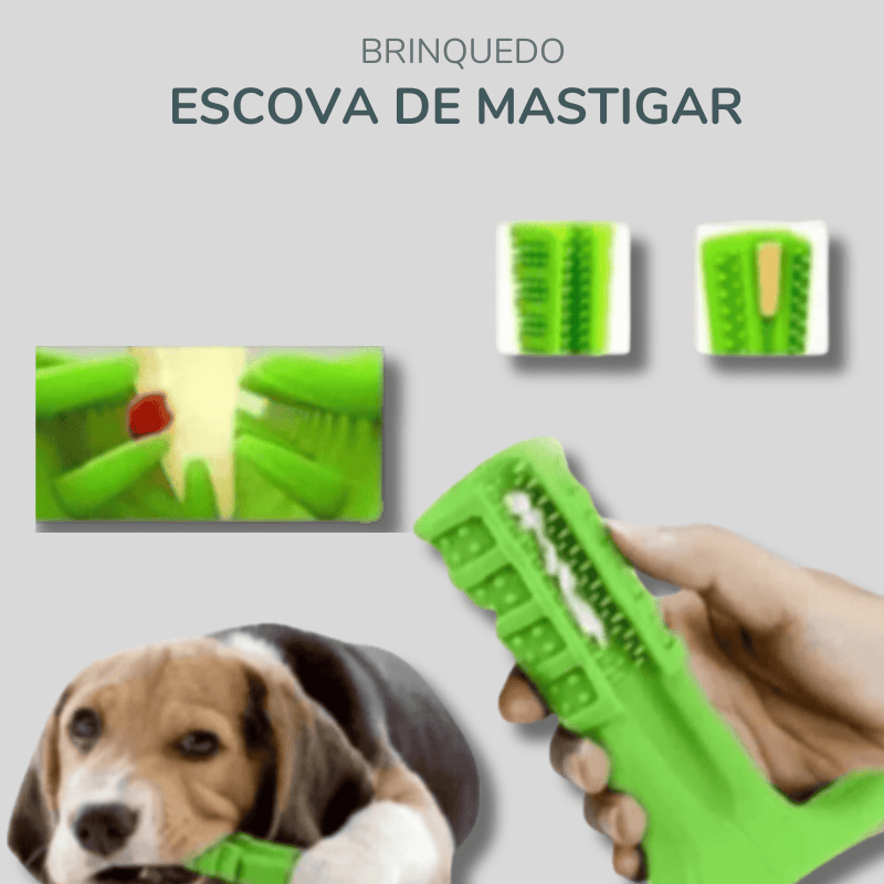 Brinquedo de mastigar - Escova de dentes