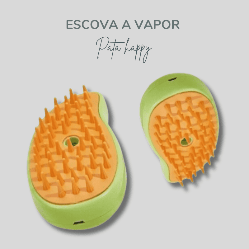 Escova a Vapor - pata D'ouro