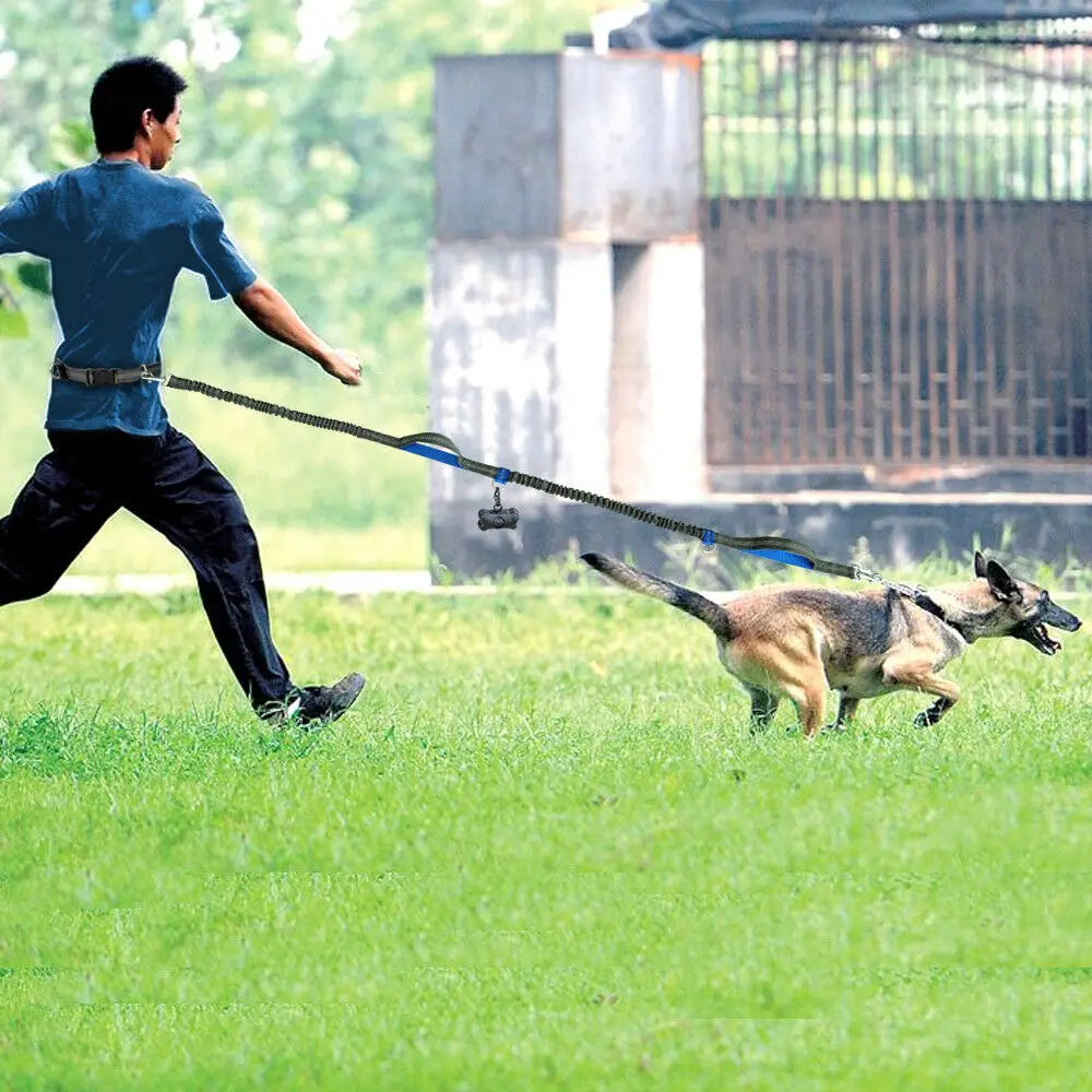 Guia reflexiva para cães - pet happy