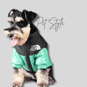 Jaqueta Inverno - pet style