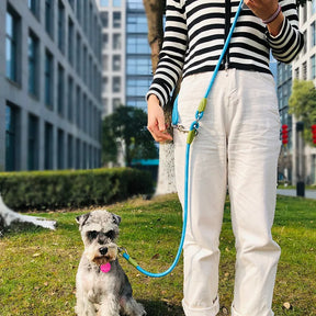 Guia Corda para Cães Mãos livres - Pet happy