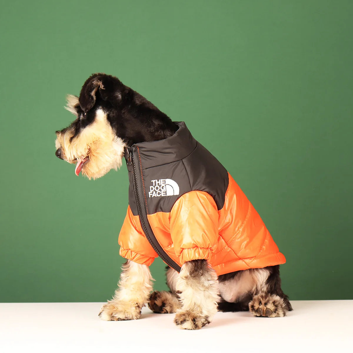 Jaqueta Inverno - pet style