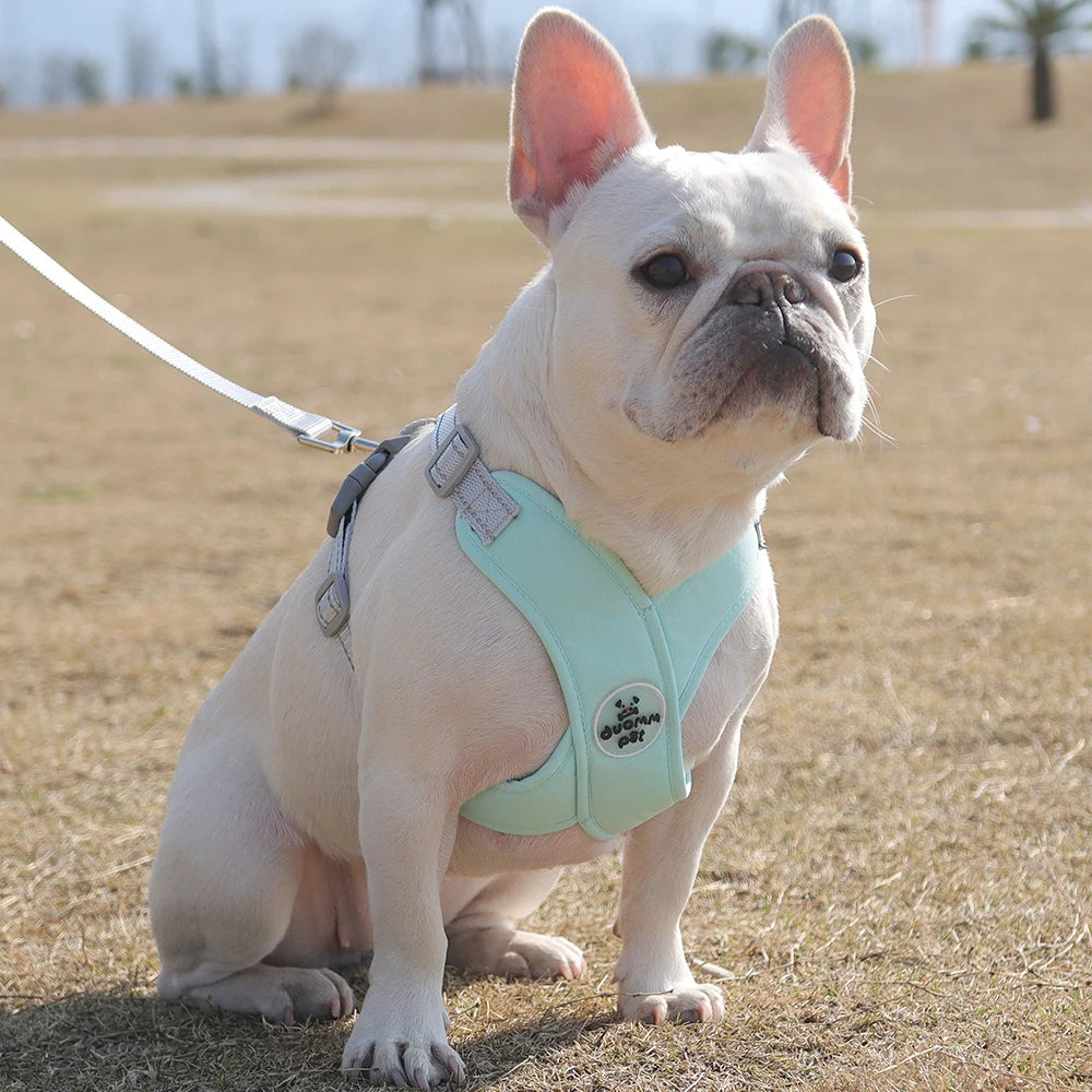 Coleira Peitoral passeio pet happy - novidade 2024