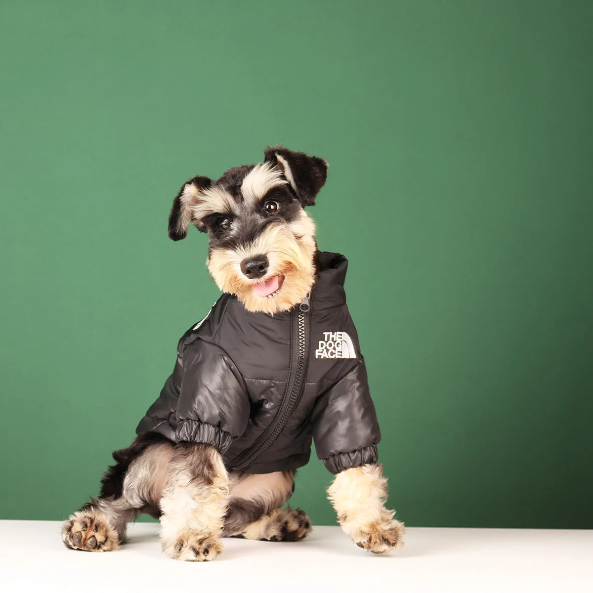 Jaqueta Inverno - pet style