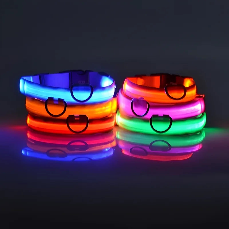 Coleira de nylon com Led noturna - Pata happy