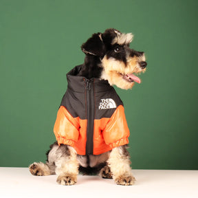 Jaqueta Inverno - pet style