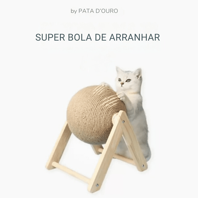 Super Bola de  Arranhar