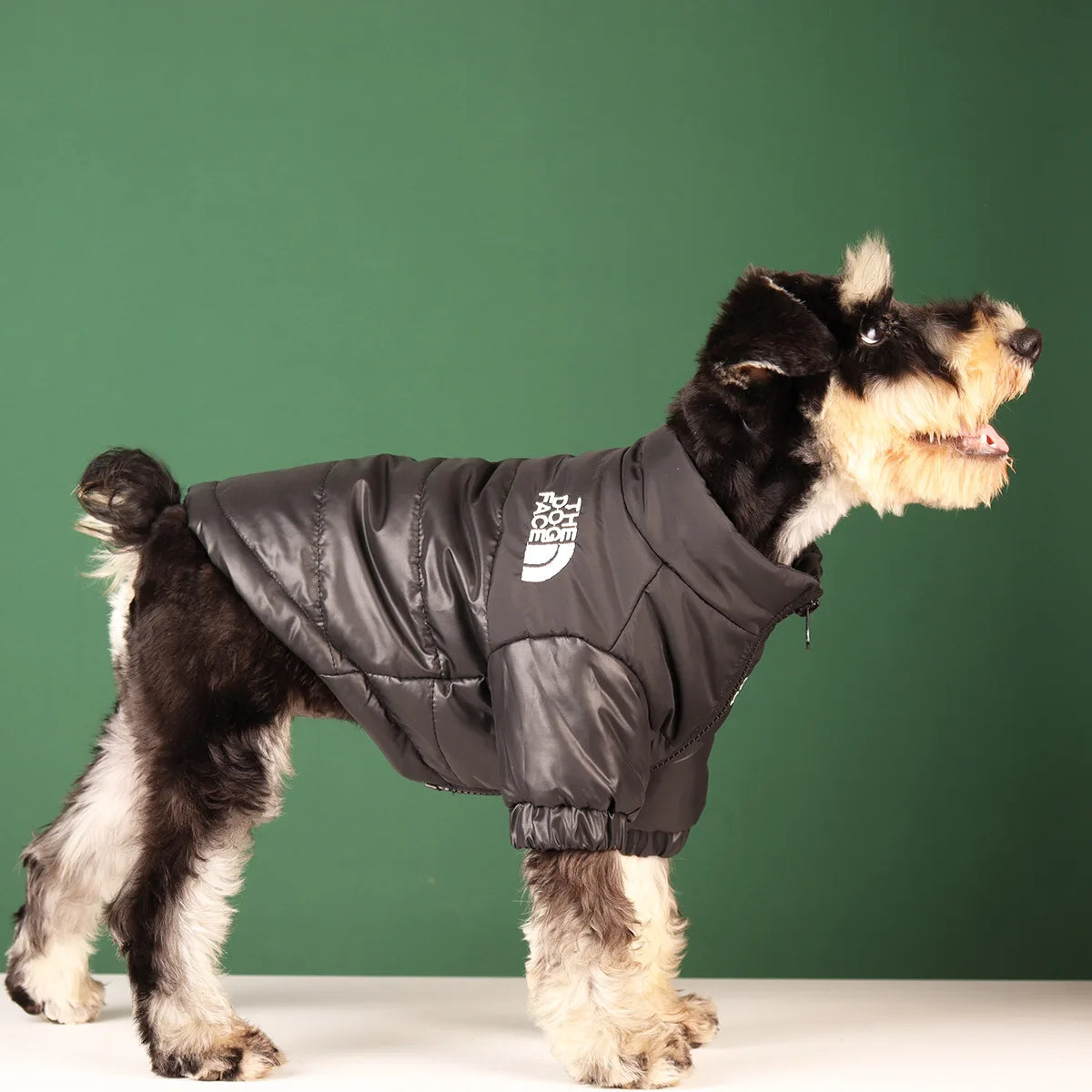 Jaqueta Inverno - pet style