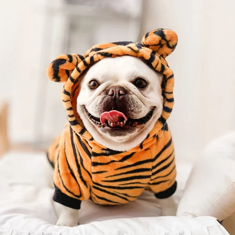 roupas para cães personalizada - Pet Style