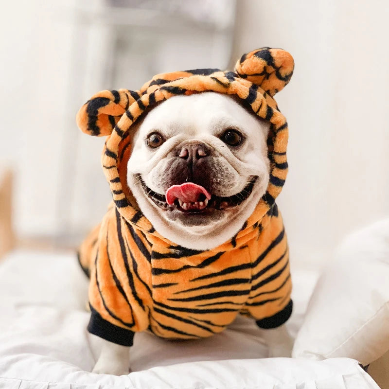 roupas para cães personalizada - Pet Style